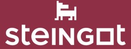 STEINGOT